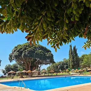 Lemon Tree Benalmádena